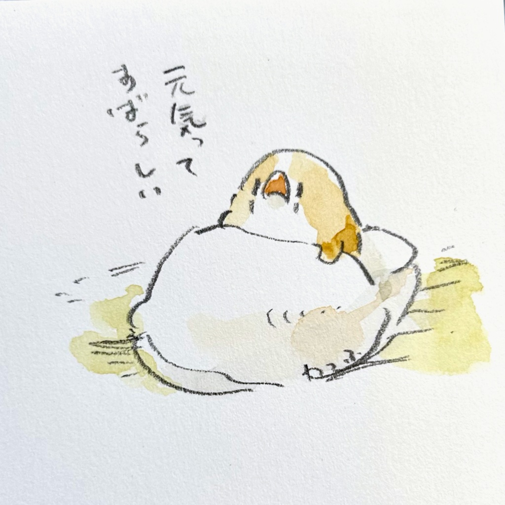 気ままスケッチ原画たち(額付き)