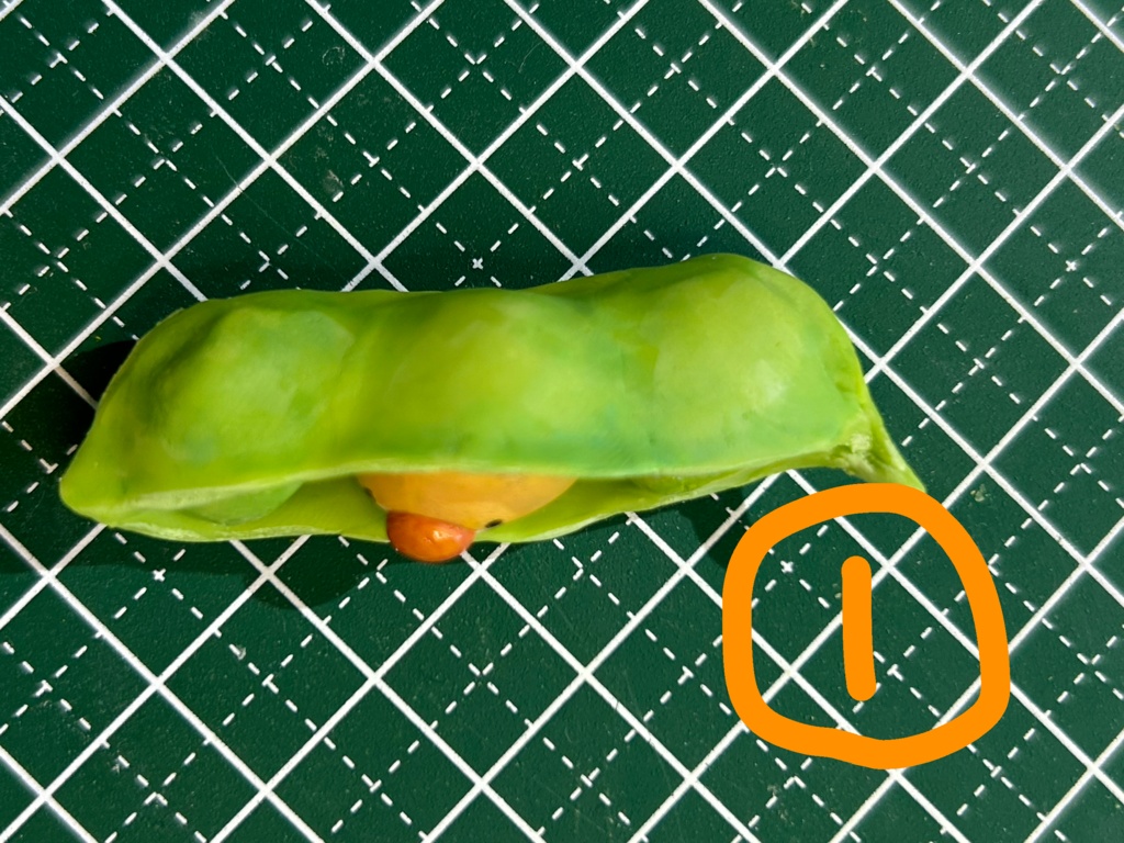 お豆なキンカたち