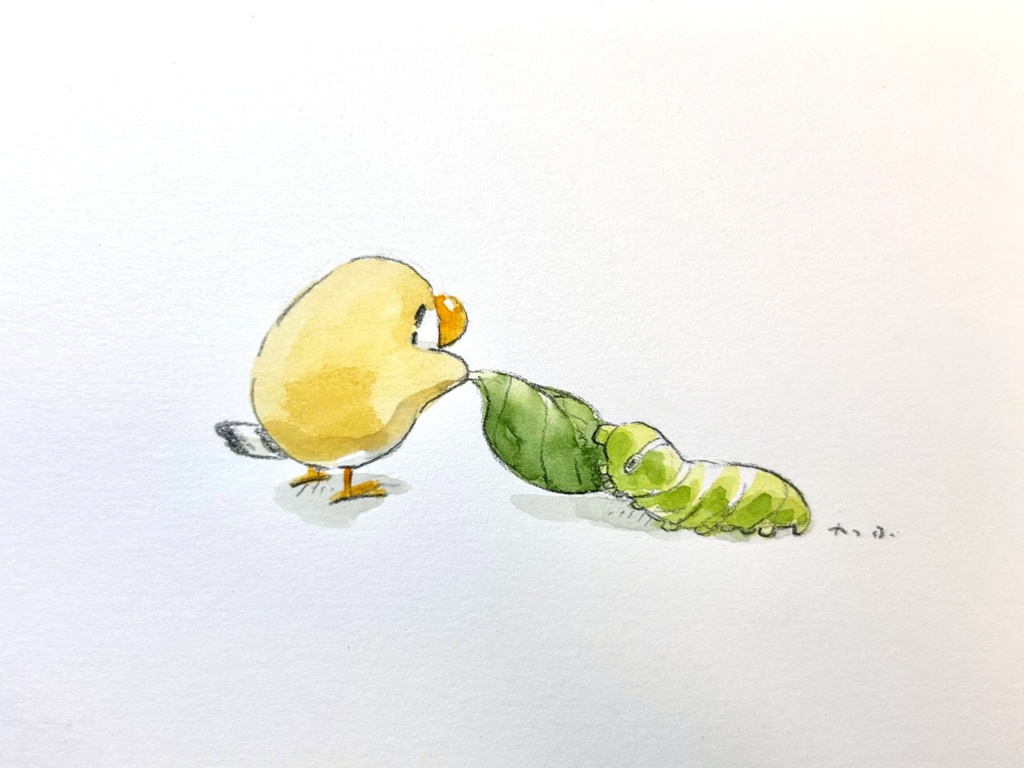 夏の餌やり