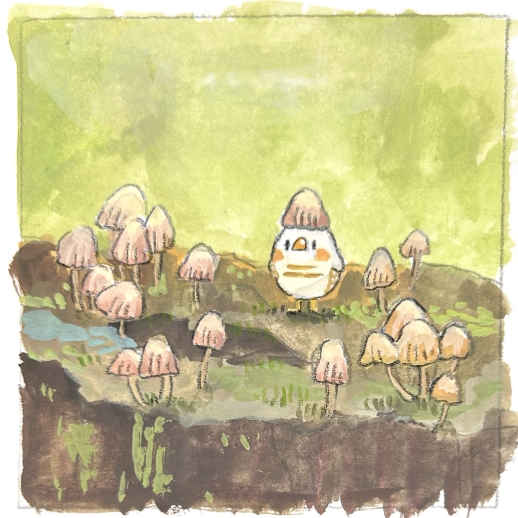 キノコとキンカたち