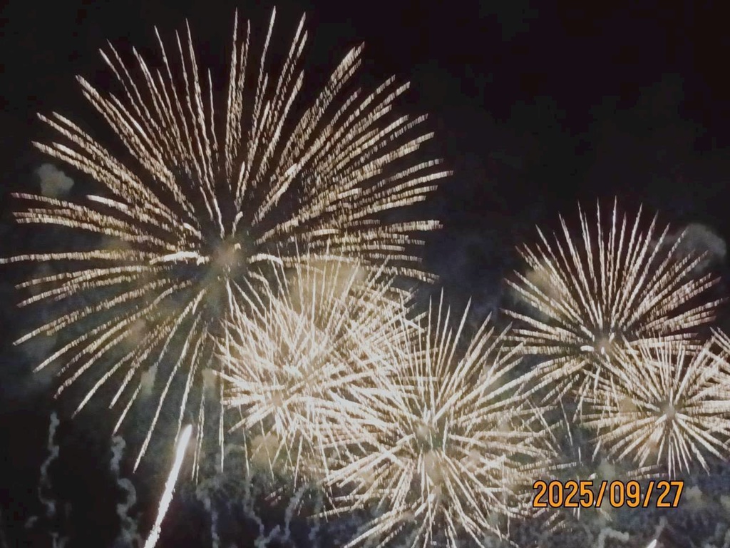夏の終わりに静かに咲く