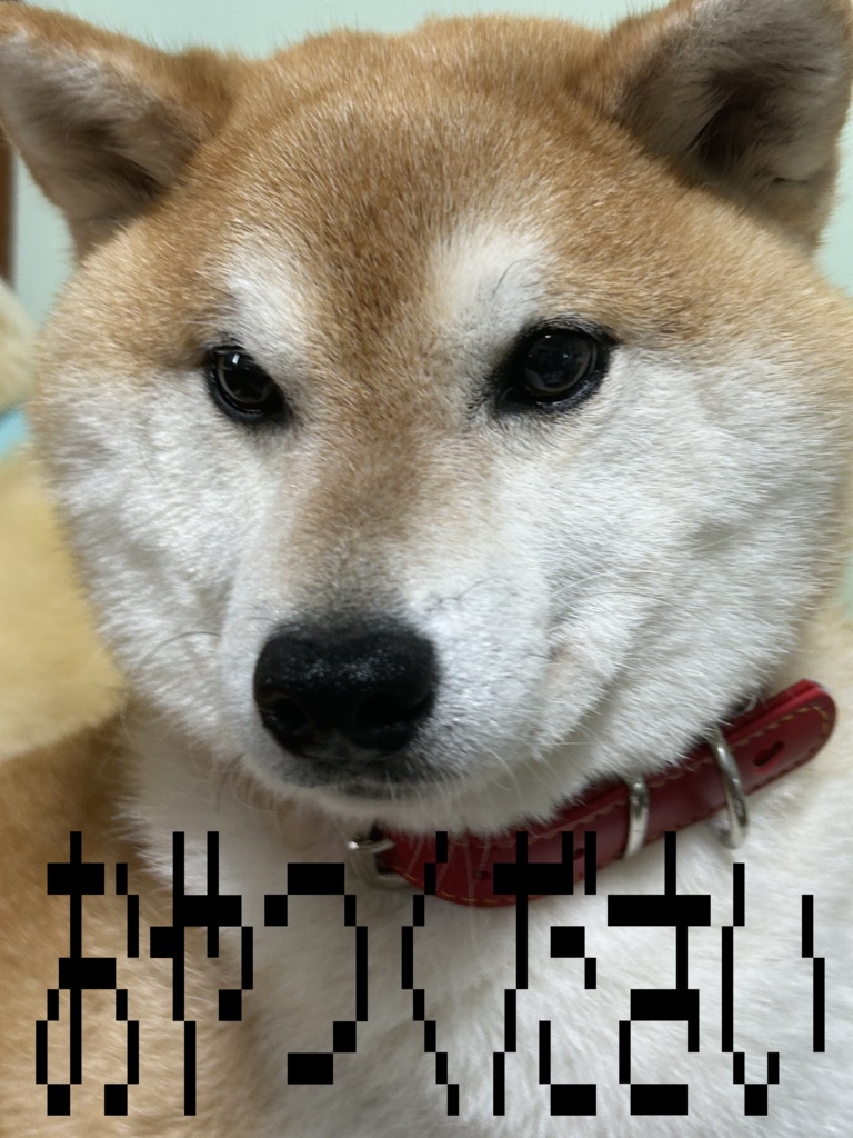 ૮ ꒰ᴇʟᴜꜱɪᴏɴ꒱ ა ᴘ!ɴᴋ ᴍᴀᴋᴇ &ᴍᴀᴛᴇʀɪᴀʟ+ʙʟᴇɴᴅ ꜱʜᴀᴘᴇ