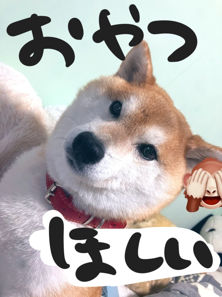 ๏น๐ก๐ฒ๐บ๐ฒ๐๐ถ๐๏น ๐บ๐ฎ๐ธ๐ฒ๐๐ฝ ๐ฎ๐ป๐ฑ ๐ฏ๐ผ๐ฑ๐ ๐บ๐ฎ๐๐ฒ๐ฟ๐ถ๐ฎ๐น