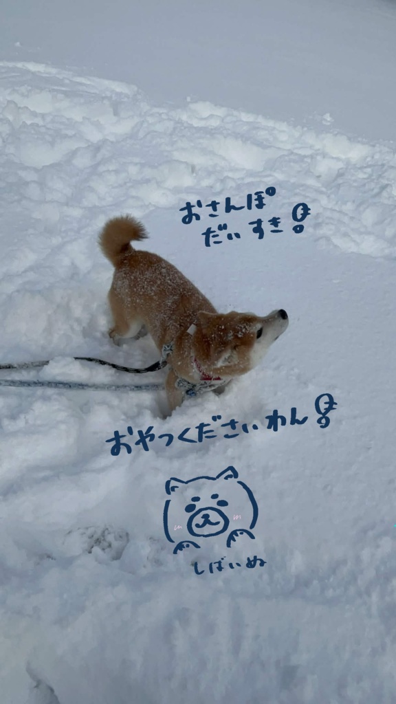 ꒰ 𝗘𝗟𝗨𝗦𝗜𝗢𝗡 ꒱ 𝗠𝗮𝗸𝗲𝘂𝗽&𝗠𝗮𝘁𝗲𝗿𝗶𝗮𝗹+𝗔𝗻𝗶𝗺𝗮𝘁𝗶𝗼𝗻𝘀