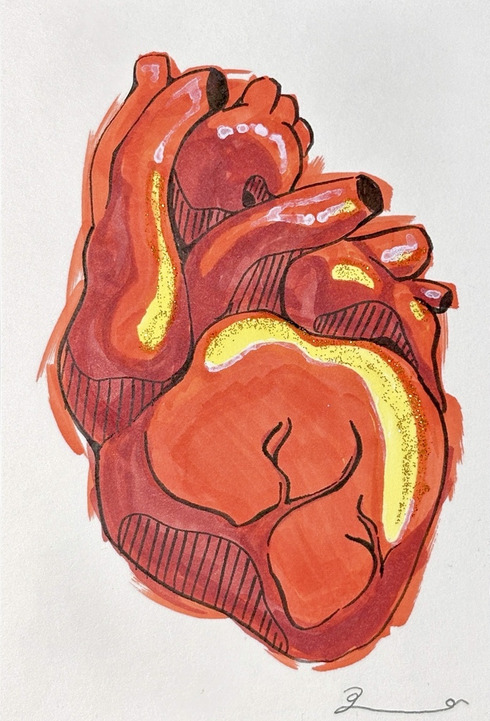 【Original Artwork Set】4 Heart Postcards 🫀 /【原画セット】4点の心臓ポストカード