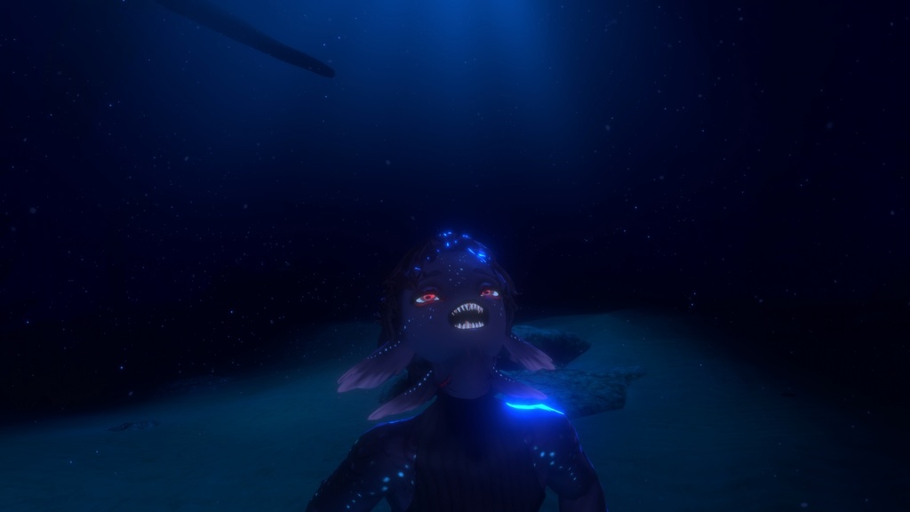 シンカイヒトウオ/Sinkai Hitouo - Face Tracking Add-on