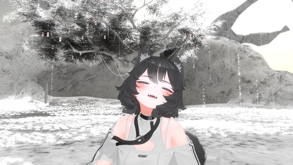 ヴェール/Velle - Face Tracking Add-on