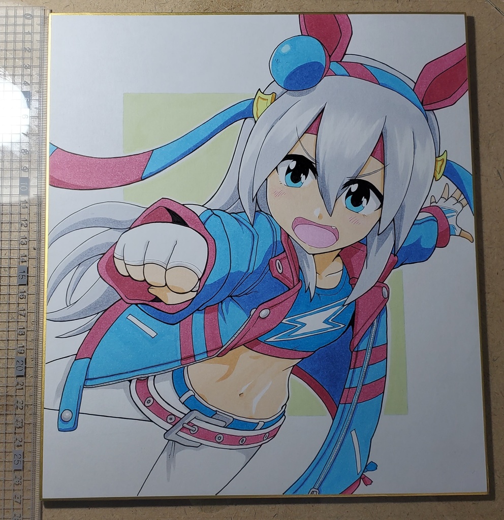 タマモクロス　色紙