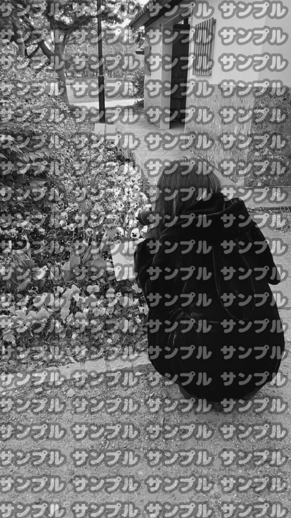 雰囲気ピンチェキ