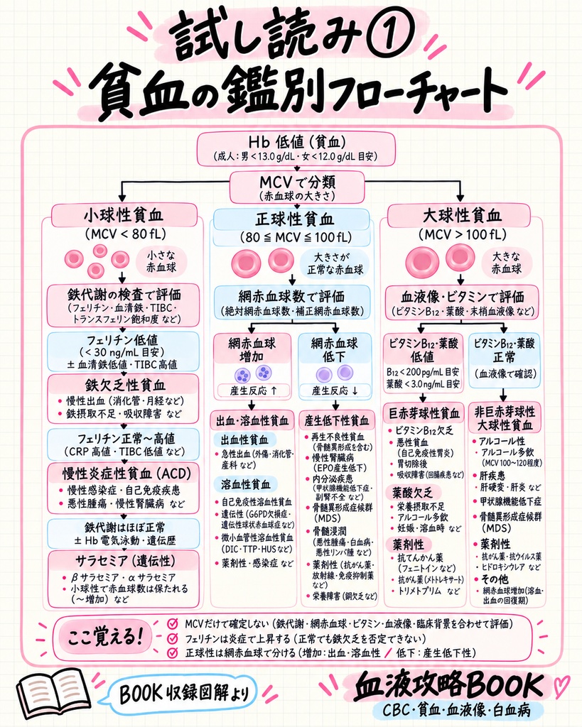 血液攻略BOOK|CBC・貧血・血液像・白血病
