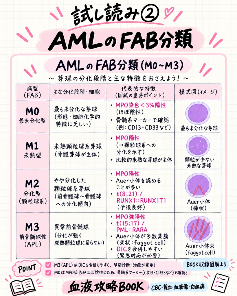 血液攻略BOOK|CBC・貧血・血液像・白血病