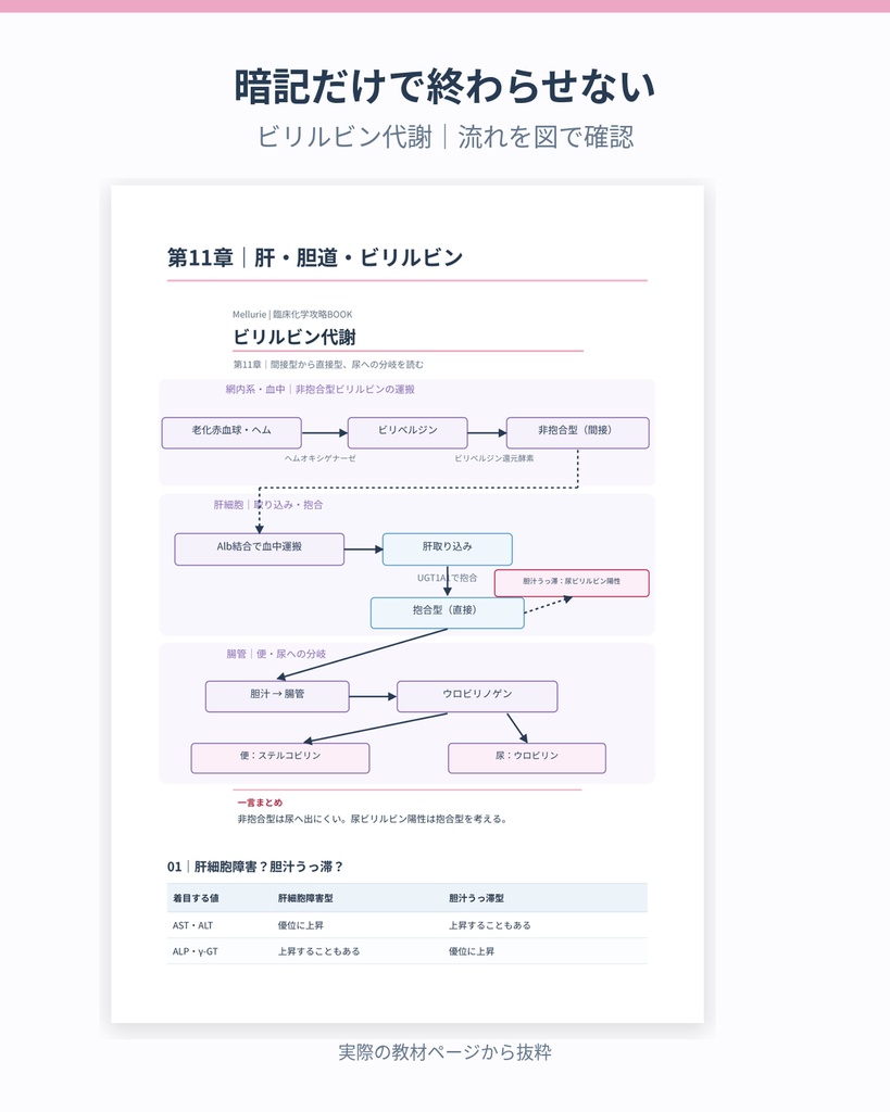 臨床化学攻略BOOK|国試対策・全27章+オリジナル176問