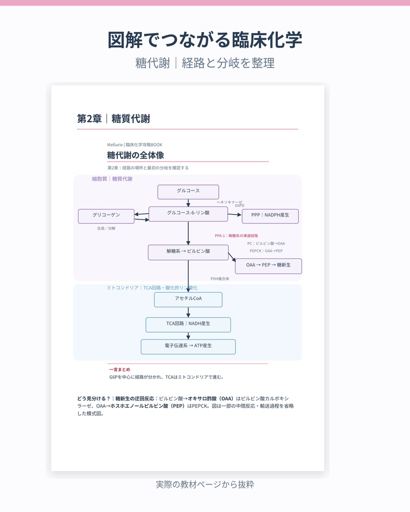 臨床化学攻略BOOK|国試対策・全27章+オリジナル176問