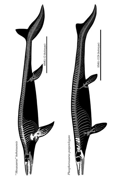 GET AWAY TRIKE ! in Press sp.1