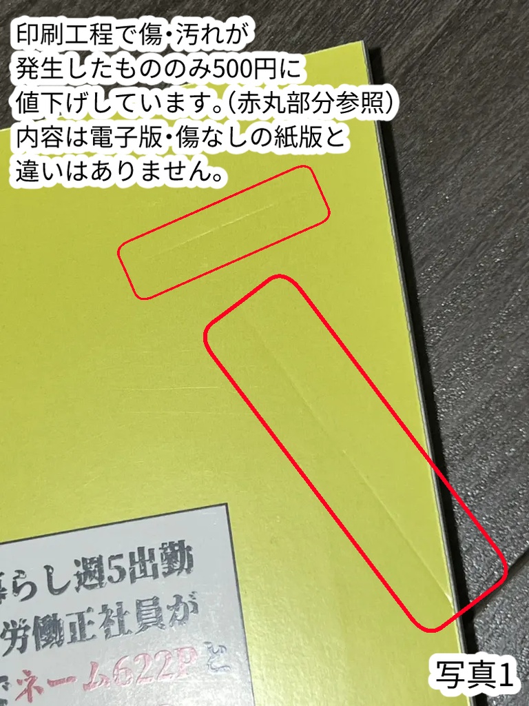 【傷アリ品・残部少】一人暮らし週5出勤8時間労働正社員が1年間でネーム622Pと完成原稿224P仕上げる方法