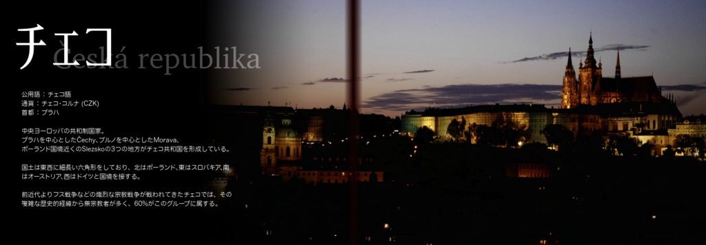 【完売】ZiG-zAg 2019 中欧