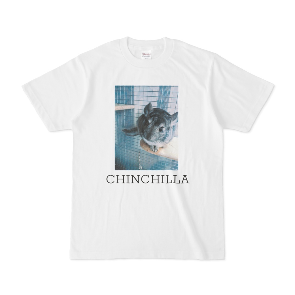 チンチラTシャツ