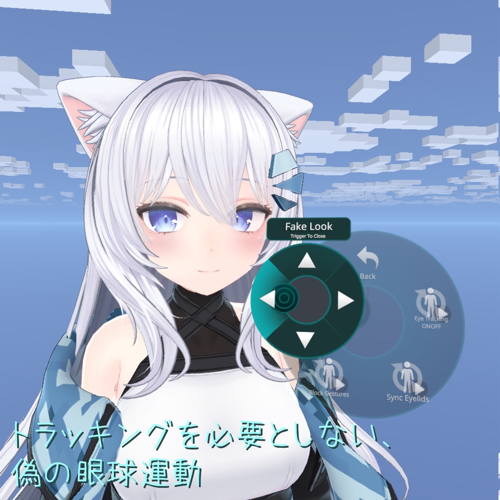 Eye Tracking for Saria・サリアのアイトラッキング
