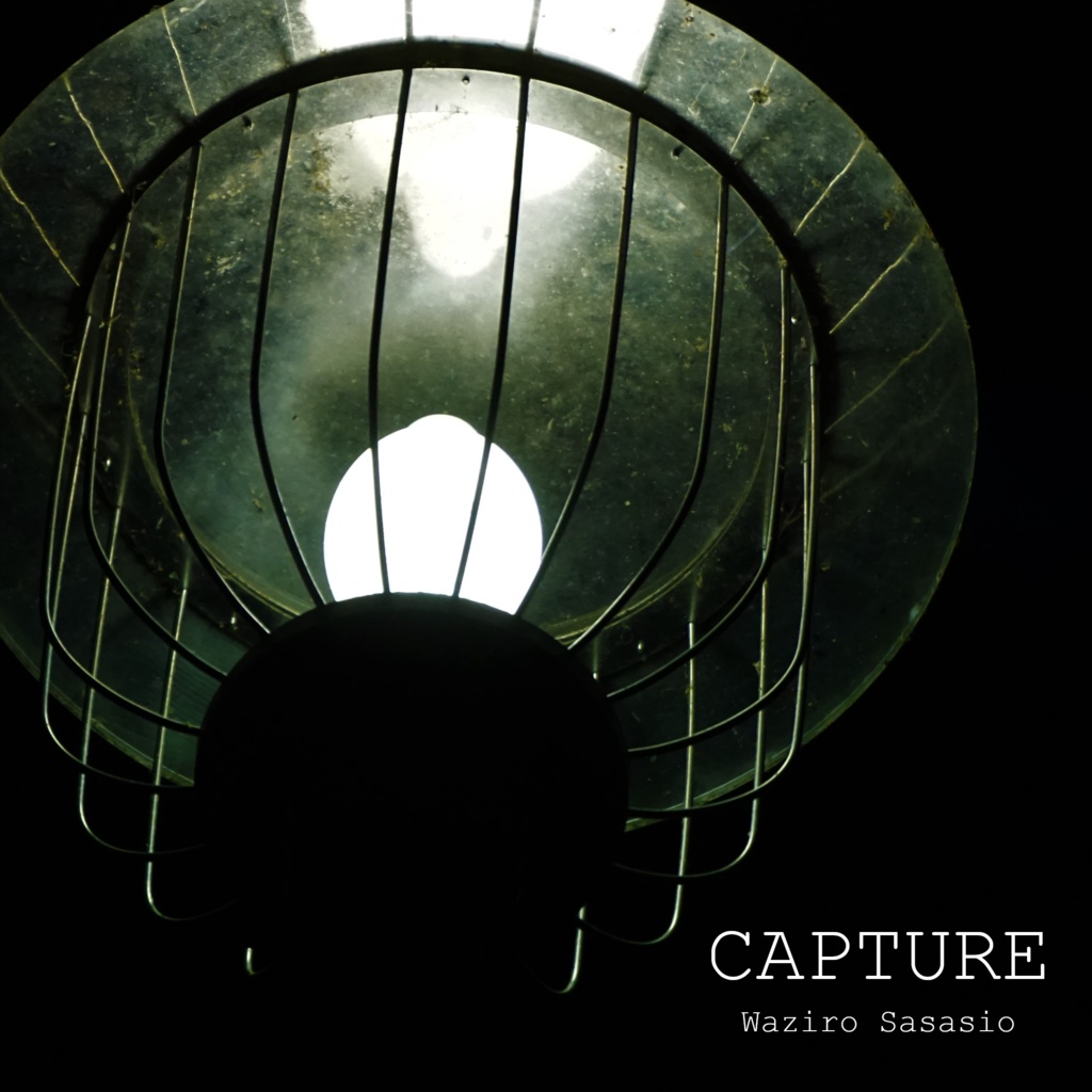 【DL】Album「CAPTURE」