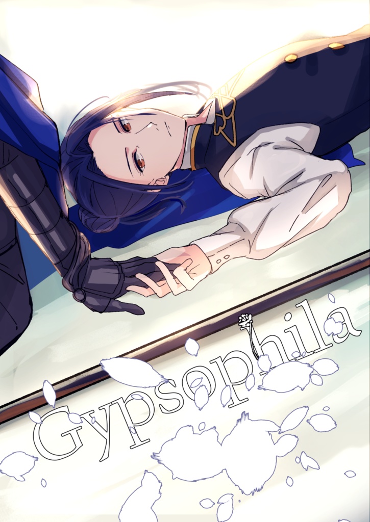 Gypsophila