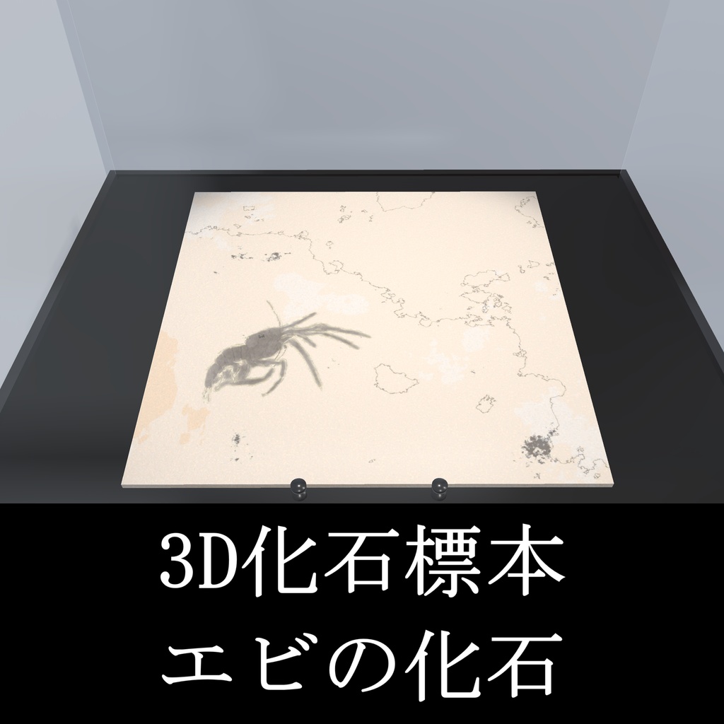 【3Dモデル_化石標本】エビの化石