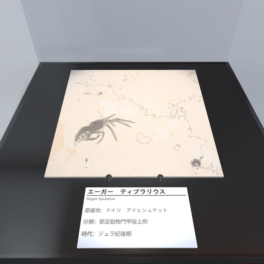 【3Dモデル_化石標本】エビの化石
