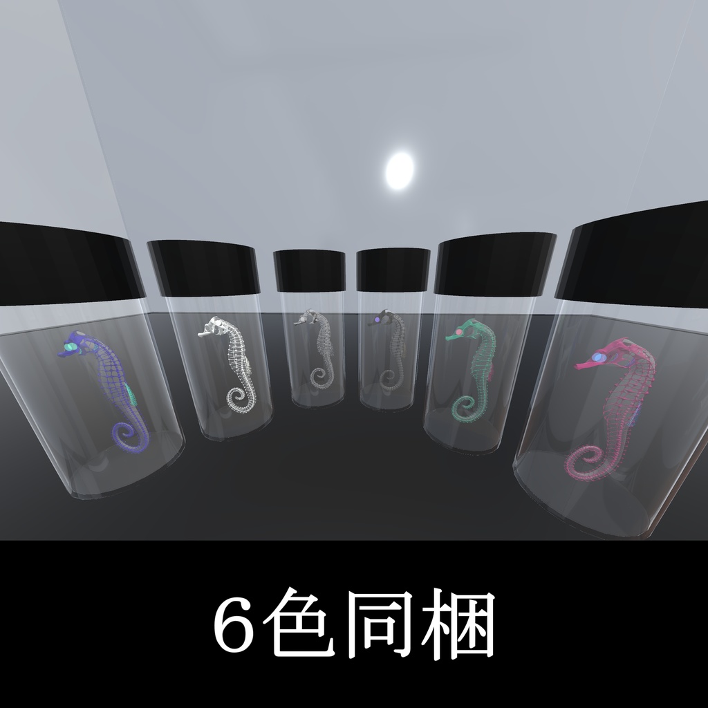 【3Dモデル_透明標本】タツノオトシゴ