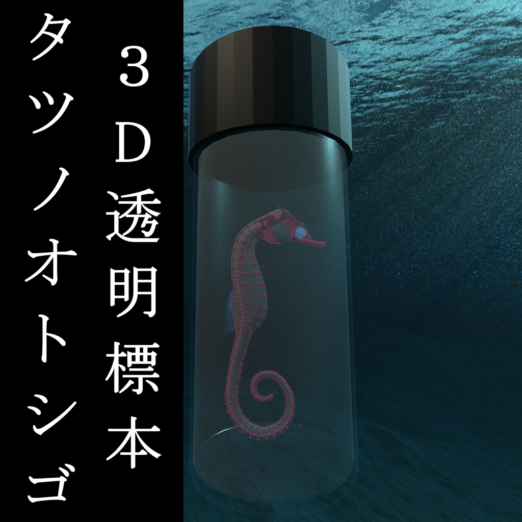 【3Dモデル_透明標本】タツノオトシゴ