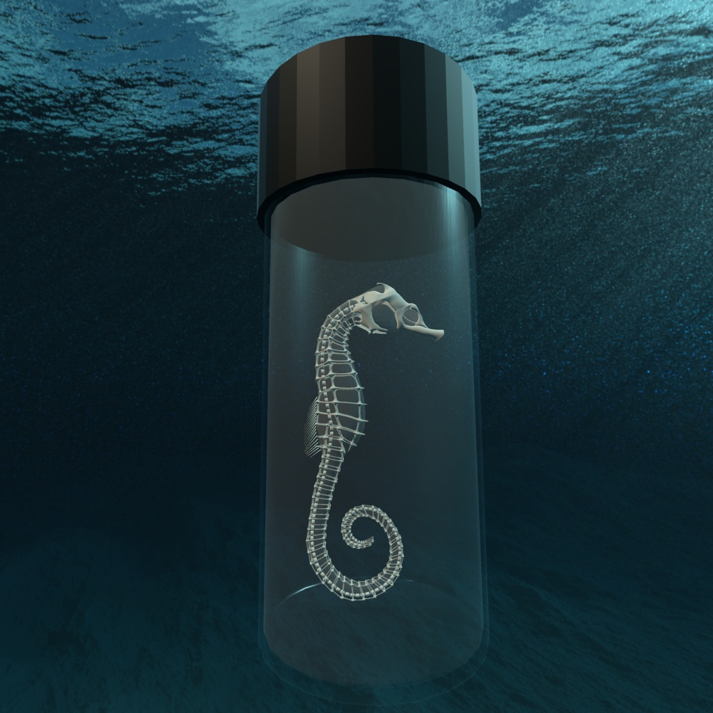 【3Dモデル_透明標本】タツノオトシゴ