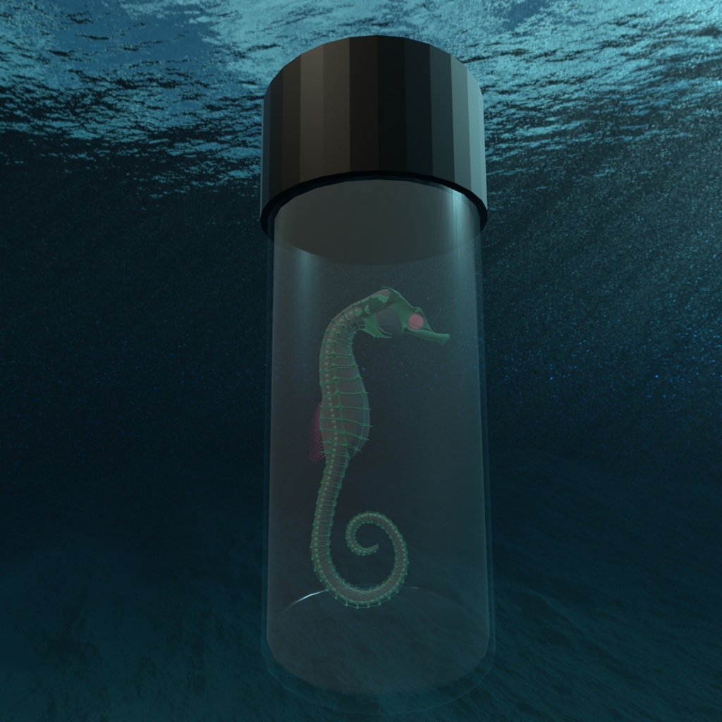 【3Dモデル_透明標本】タツノオトシゴ