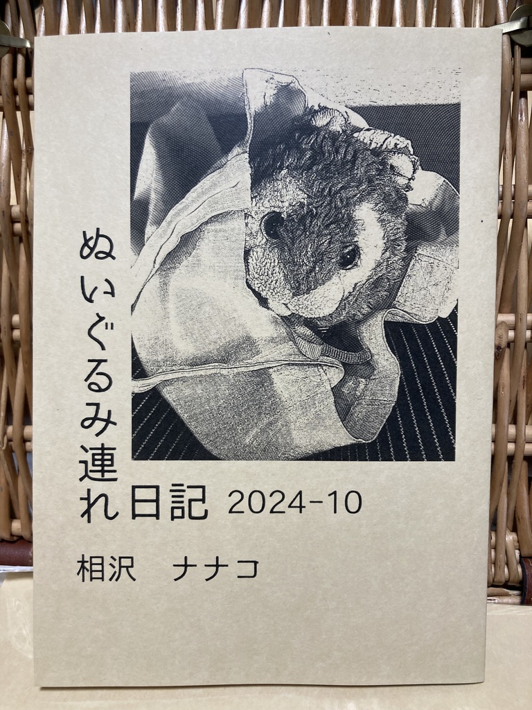 ぬいぐるみ連れ日記