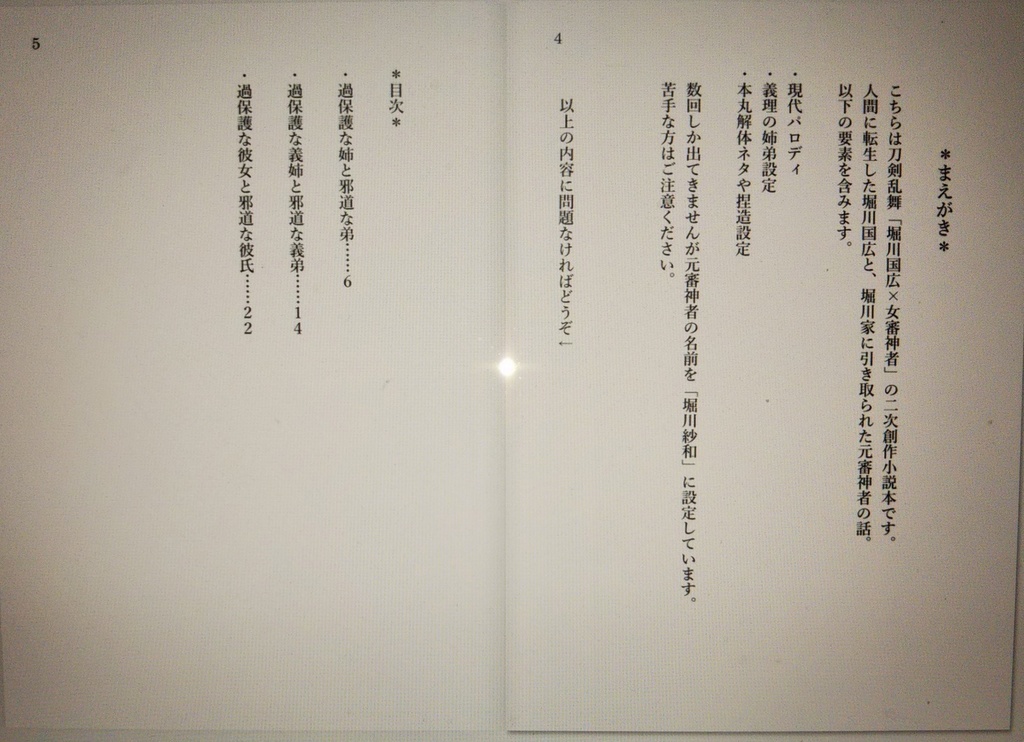 【堀さに】過保護な義姉と邪道な義弟