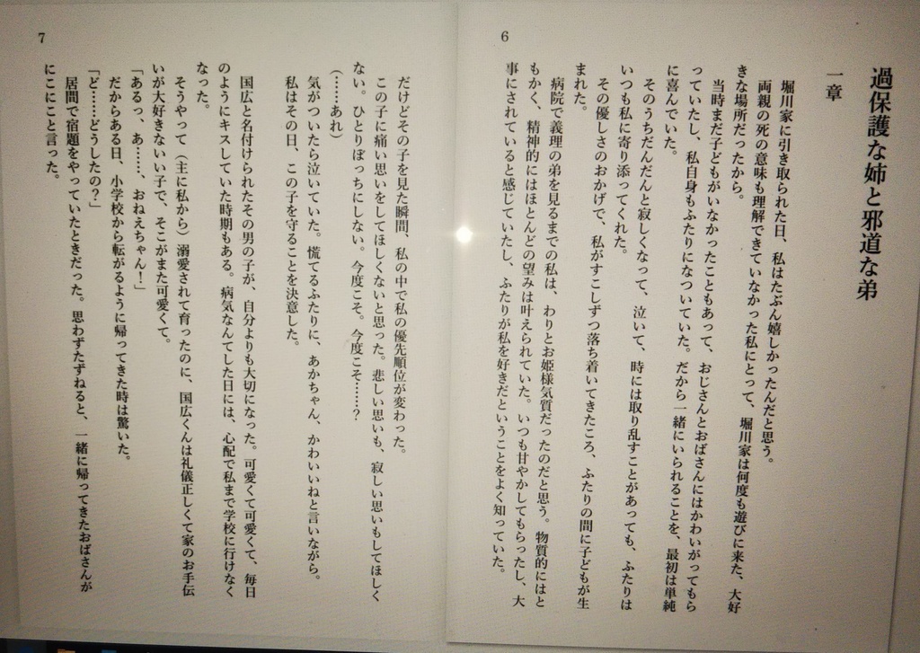 【堀さに】過保護な義姉と邪道な義弟