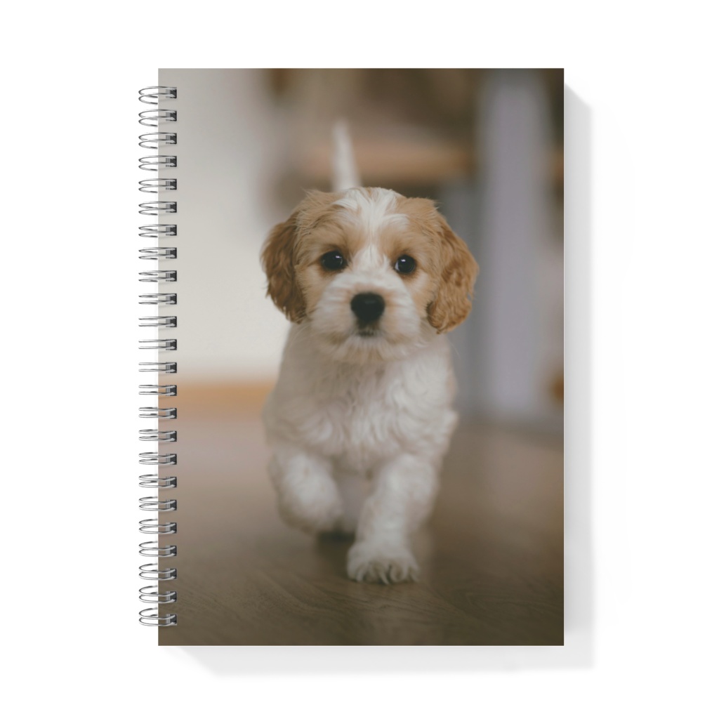 リングノート　子犬