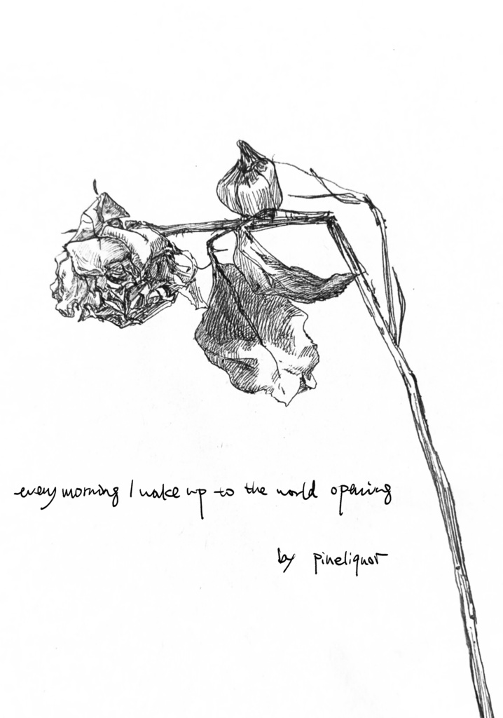 【pdf】every morning i wake up to the world opening