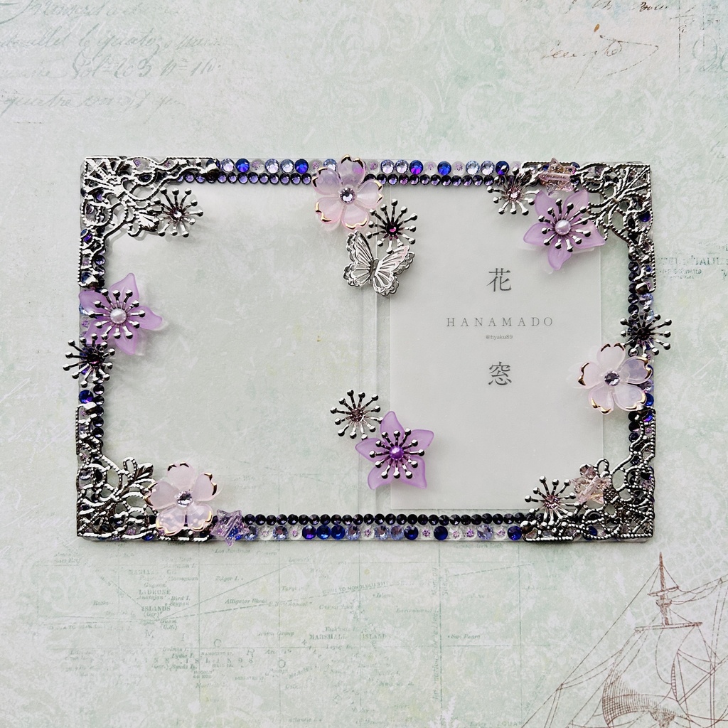purple×purple / B8(pair)