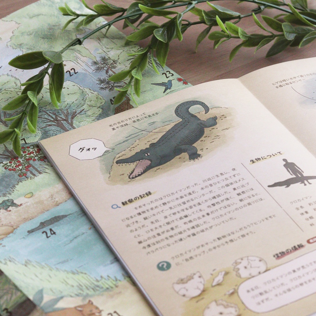 テラ・ファンタジア:熱帯雨林の観察記