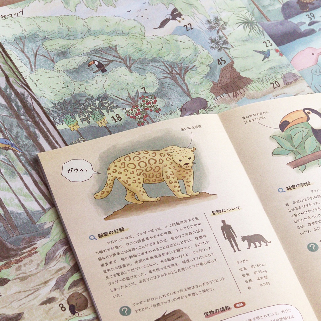 テラ・ファンタジア:熱帯雨林の観察記