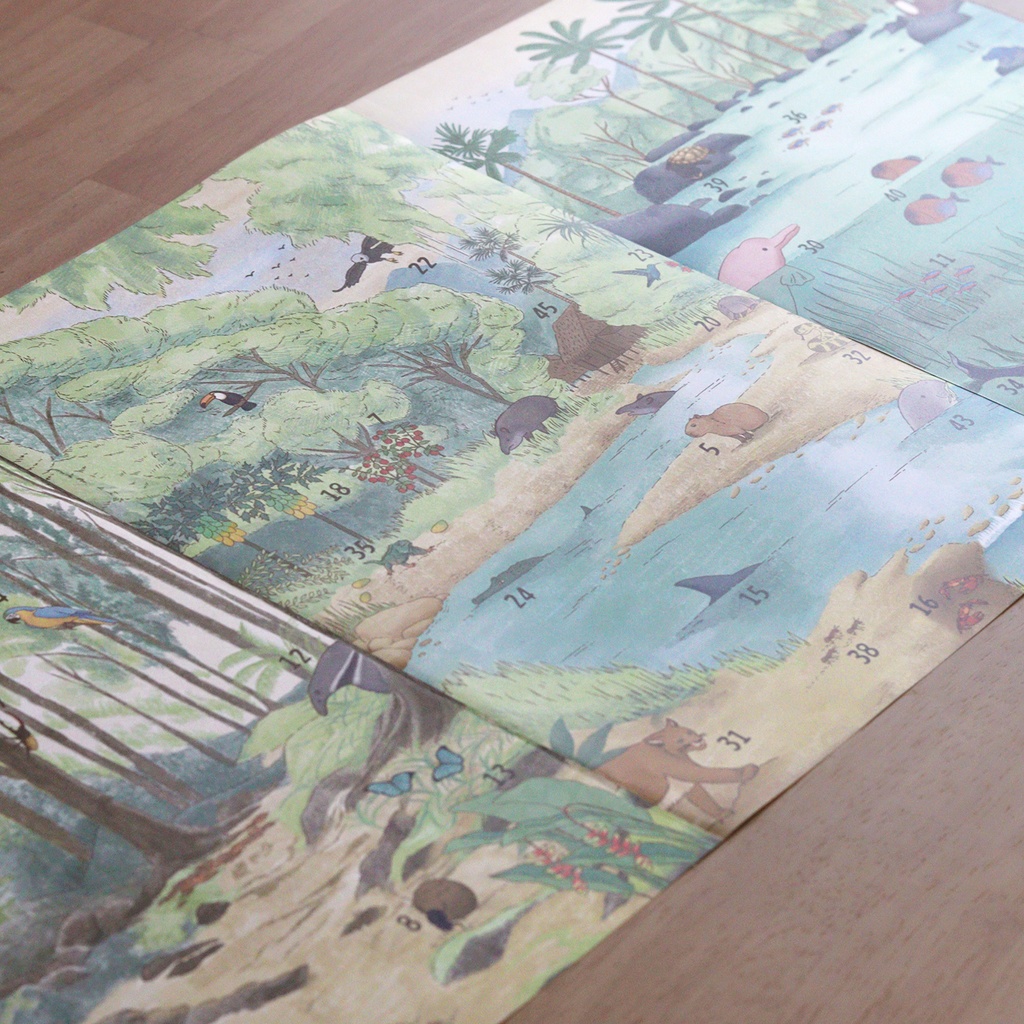 テラ・ファンタジア:熱帯雨林の観察記