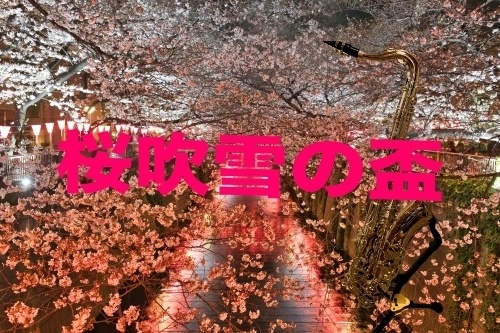 桜吹雪の盃