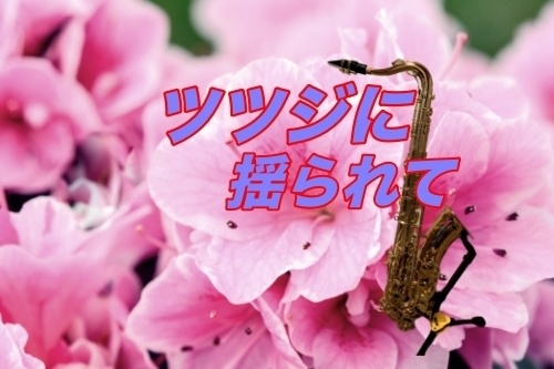 ツツジに揺られて