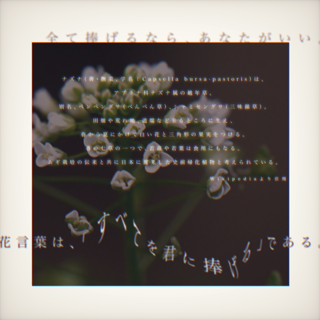 【CoCシナリオ】語る薺【SPLL:E198017】