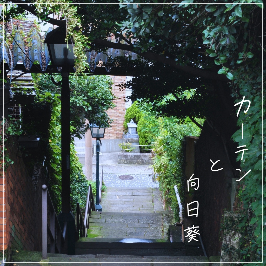 『カーテンと向日葵』/あるたくん