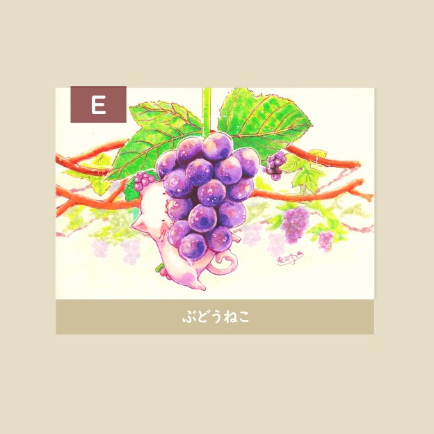 ポストカード-にゃんこ5種