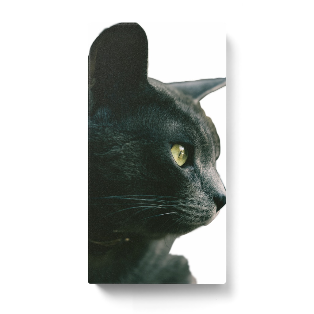 黒猫モバイルバッテリー Luko Booth