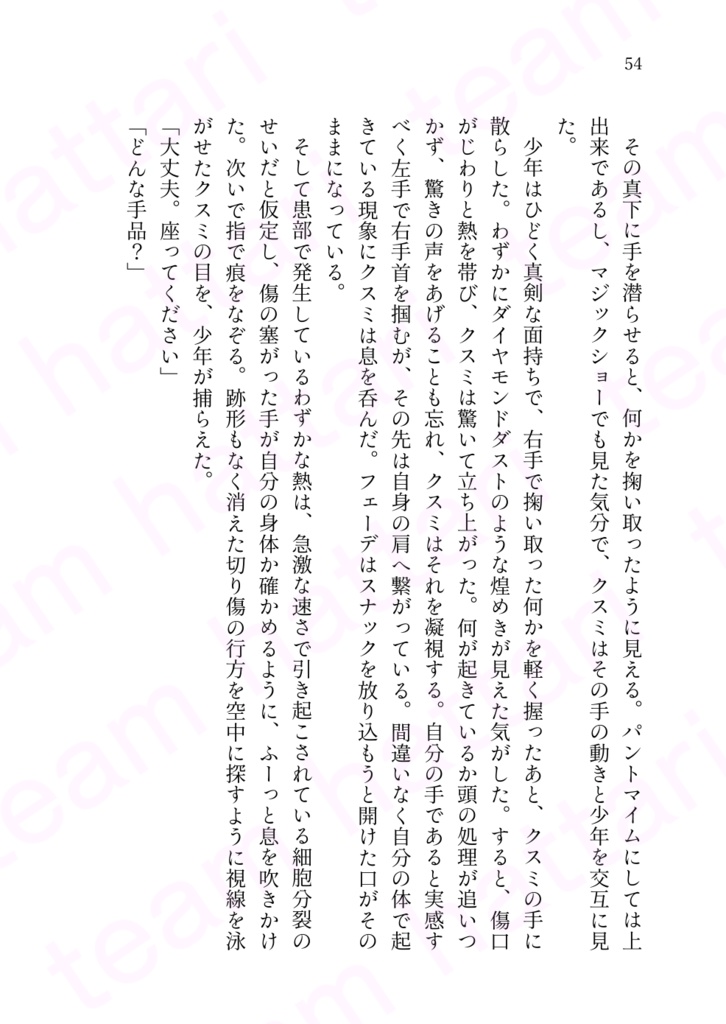 THE LAST CHILDREN ルカの物語