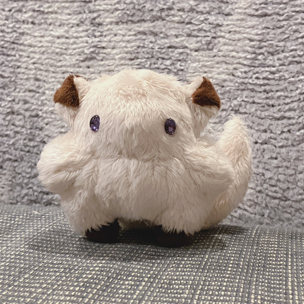 りこさん専用ページ