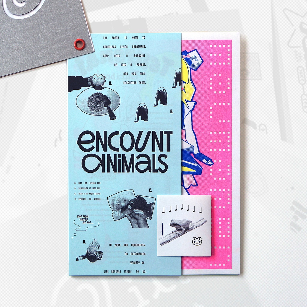 ZINE - Lilt a bit Mash