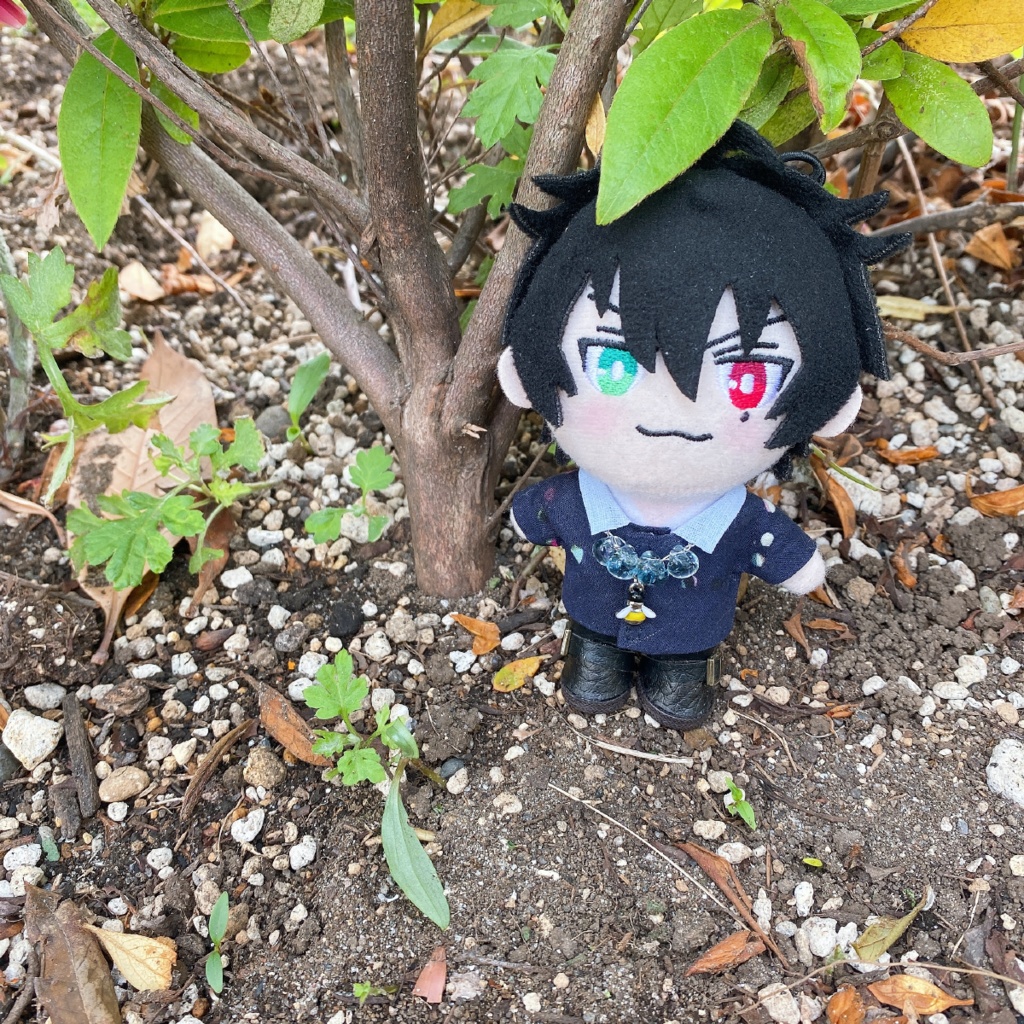 🎤10cmぬいサイズ服/アクセがたのしみになるシャツ