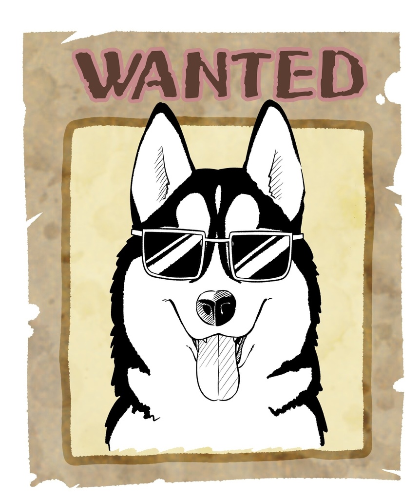 ハスキーステッカー 3種類